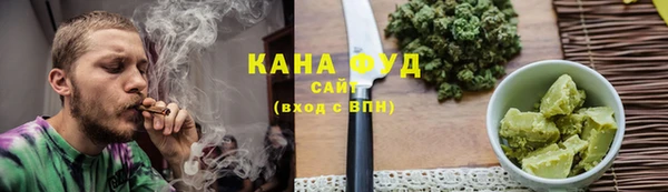 мет Алексин
