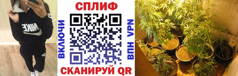 где купить наркоту Бабушкин Шишки марихуана гибрид